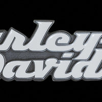 Harley Davidson Skull Gas Pump Display Case Medallion