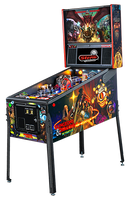 
              Dungeons and Dragons Pro Pinball By Stern
            