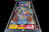 Foo Fighters Pro Pinball By Stern