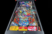 
              Foo Fighters Pro Pinball By Stern
            