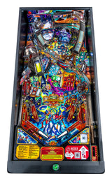 Foo Fighters Pro Pinball By Stern