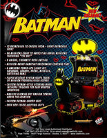
              Batman Driving Arcade Game Raw Thrills Brochure
            