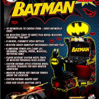 Batman Driving Arcade Game Raw Thrills Brochure