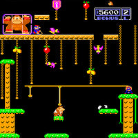 Triple Donkey Kong Arcade Video Game