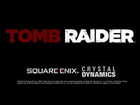
              Tomb Raider Arcade Game
            